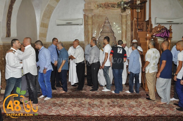 3ed ad7a ma7modiya (51).JPG